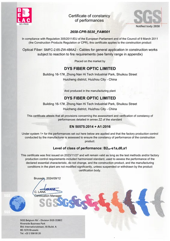 First page of the CPR certificate